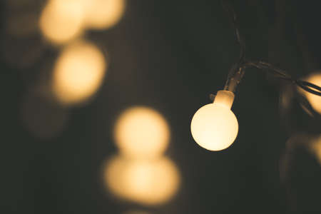 closeup photo of round lights in the gardenの写真素材