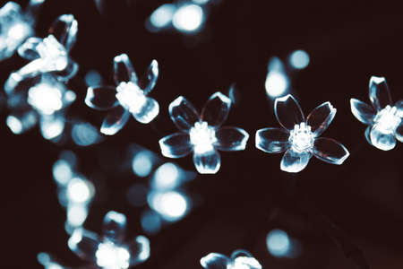 closeup photo of illuminated plastic flowersの写真素材