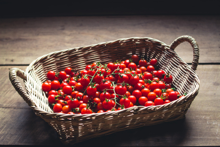 Tomato cherry in old hand South Asiaの写真素材