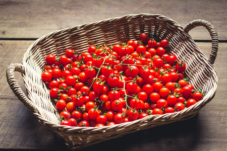 Tomato cherry in old hand South Asiaの写真素材
