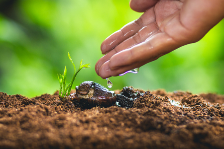 growth, time, money, business, concept, success, tree, new, finance, background, economic, future, vector, seed, plant, beginnings, growing, cash, small, seedling, financial, development, investment, lifeの写真素材