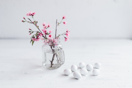 Spring blossom pink flowers In the glass And white eggsの写真素材