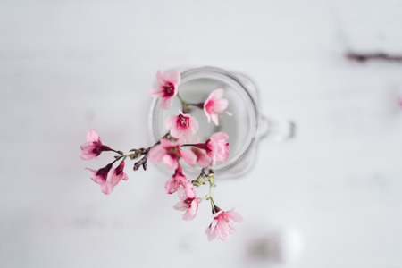 Spring blossom pink flowers In the glass And white eggsの写真素材