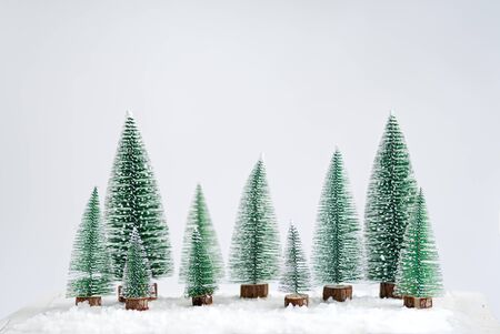 Christmas - Christmas ornament Pine cones and branches  On the snowの写真素材