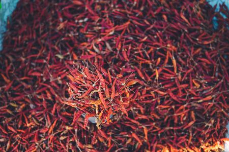 Red dried chillies in the fresh market-の写真素材