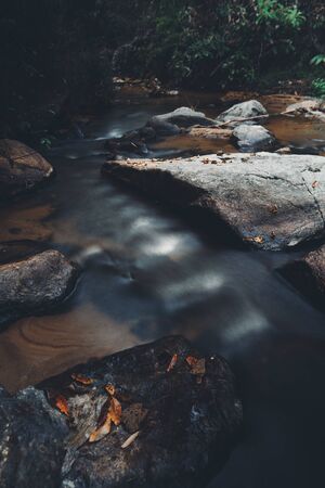 River in nature in the morning,Refreshingの写真素材