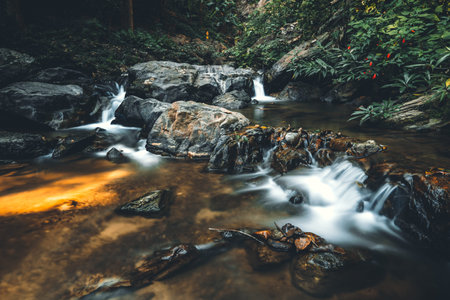 River in nature in the morning,Refreshing