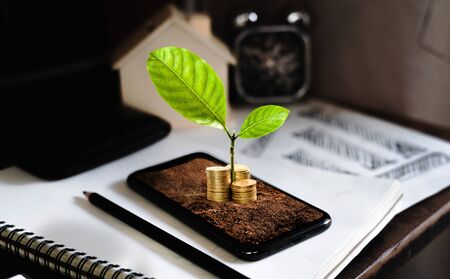 Financial growth-Stacked gold coins on a smartphone,3D pop up effectの写真素材
