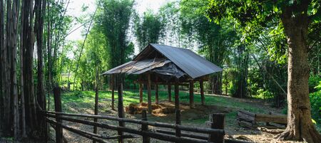 Sheds -Farm grass sheds In asia eveningの写真素材