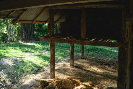 Sheds -Farm grass sheds In asia eveningの写真素材