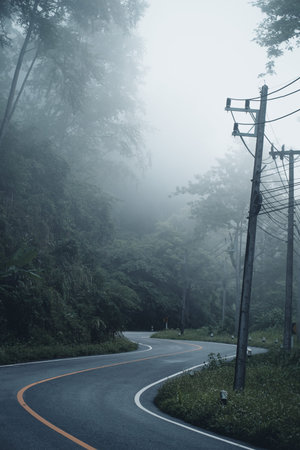 Fog on the road Mountains and green trees after the rain