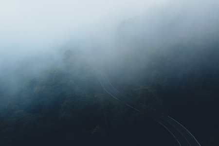 Fog on the road Mountains and green trees after the rain