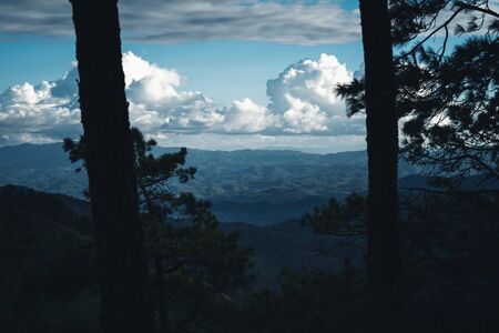 Forests, trees, and mountains In the rainy season in South Asiaの写真素材