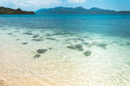 Clear water on the island,Bright blue sea