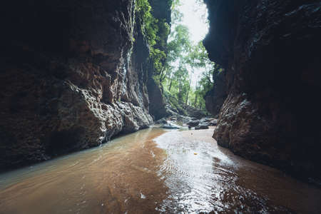 Green rice fields Views of rice fields, rice fields and mountainsの写真素材
