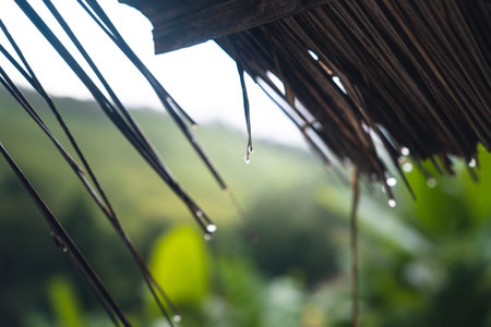 Beer poured into glasses in the barの写真素材