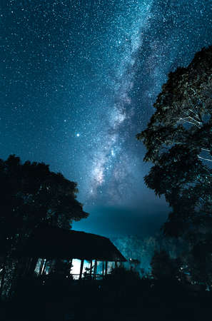 Milky way and night stars in the fields Mood toneの写真素材
