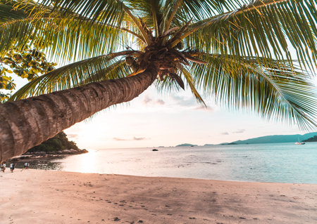 Sea view from the island,Coconut trees on the island and the blue seaの写真素材