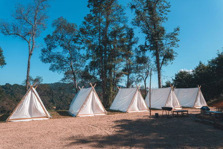 Camps and houses in the forest,House in the evening forest in asia