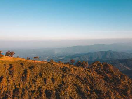 Mountains view and pine forests in the eveningの写真素材