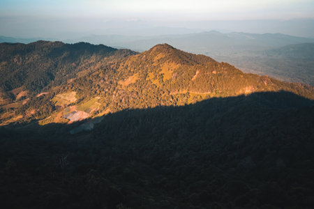 Mountains view and pine forests in the eveningの写真素材