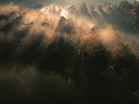 Travel Old house on the mountain in the morning,Orange grassの写真素材