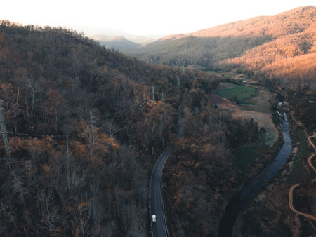 The road and trees in the evening from above