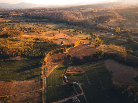 The road and trees in the evening from aboveの写真素材