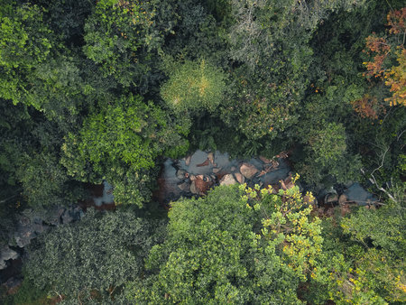 A stream and rocks in a tropical natural forest,Hiking travel