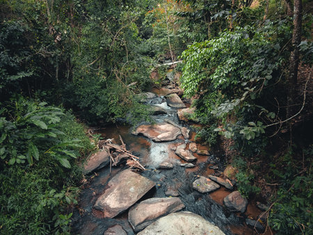 A stream and rocks in a tropical natural forest,Hiking travel
