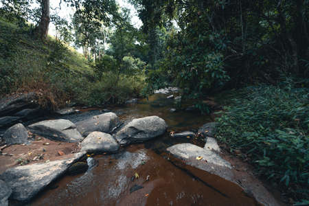 A stream and rocks in a tropical natural forest,Hiking travelの写真素材