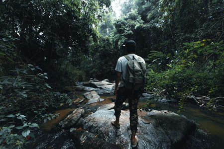 Pouring coffee into a cup ,Coffee in a black cup camping in the forestの写真素材