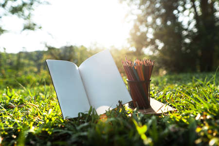 Pencil case and notebook placed in natural grassの写真素材