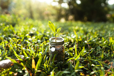 Money stored in glass bottles placed on green grass