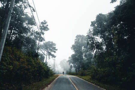 road in the forest rainy season nature trees and fog travelの写真素材