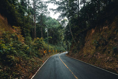 road in the forest rainy season nature trees and fog travelの写真素材