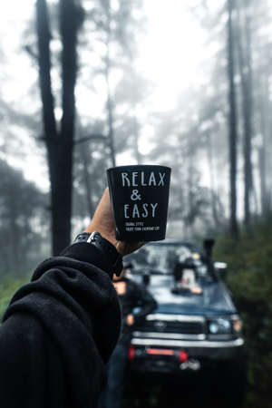 Forest in the misty rainy dayの写真素材