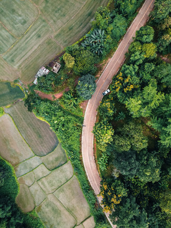 The road to the farmland and fields in the green forest.