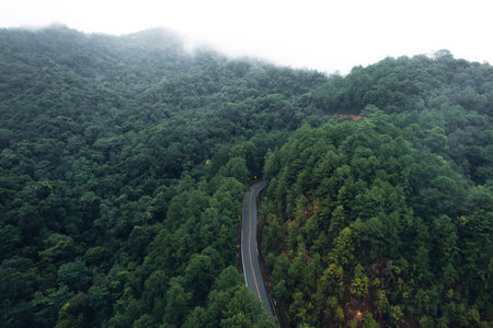 Mountain road in rainy and foggy day,Road to Pai