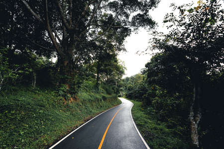 Hand holding yellow leaves on autumn road backgroundの写真素材