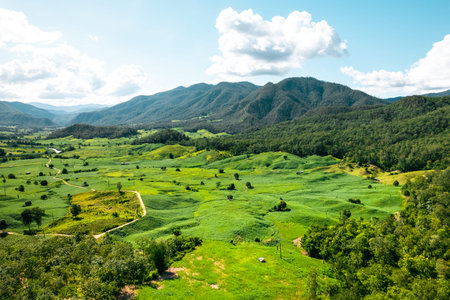 field in the garden,Mountain views and green fields on a clear day