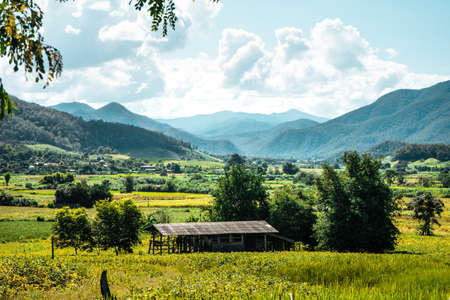 field in the garden,Mountain views and green fields on a clear dayの写真素材