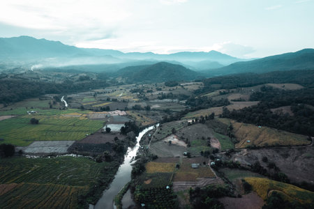 Green rice fields in the rainy season In the countryside