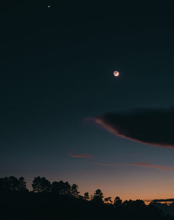 Flying above the clouds sunrise and fog,on the hillの写真素材