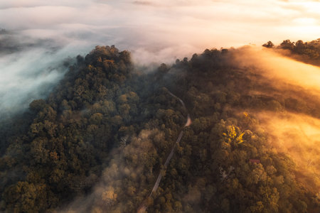 Flying above the clouds sunrise and fog,on the hill