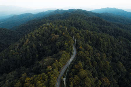 Drone view over a road through a forest,road through forestの写真素材