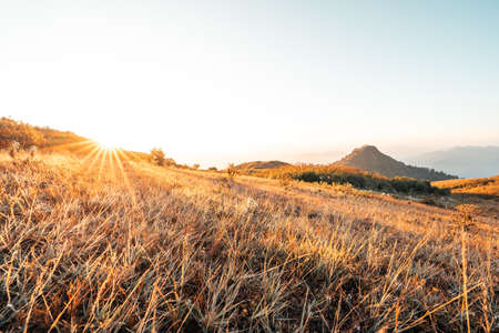 the sun rises on the mountain in summer and the flowers springの写真素材
