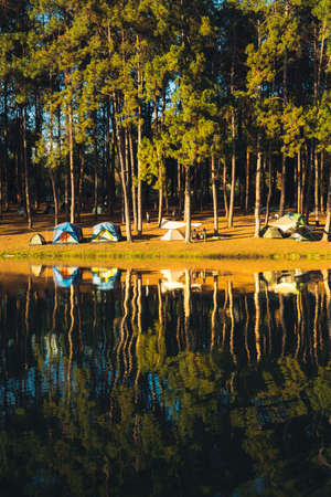Nature lake and forest Camping location,nature travelの写真素材