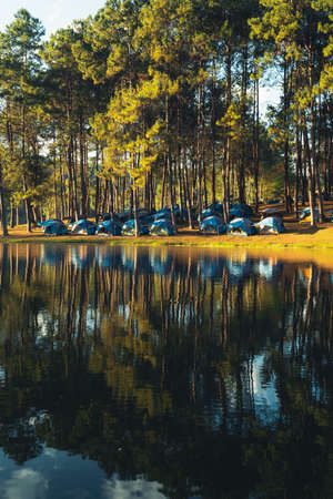 Nature lake and forest Camping location,nature travelの写真素材