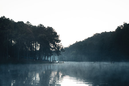 Camping tents Reservoir and trees, morning blue hour